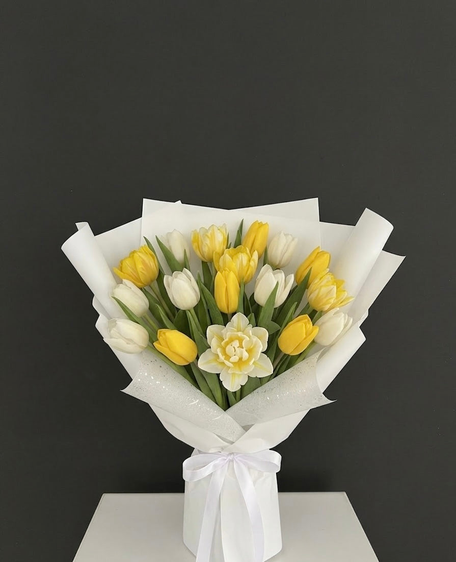 Tulip primavera