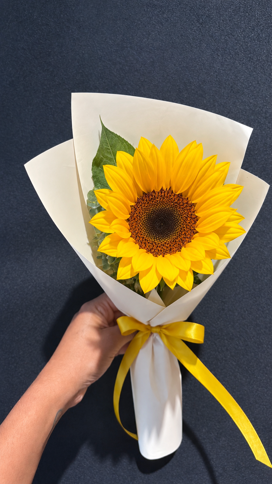 1 girasol