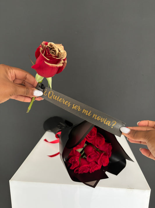 9 modelos de propuestas aqui