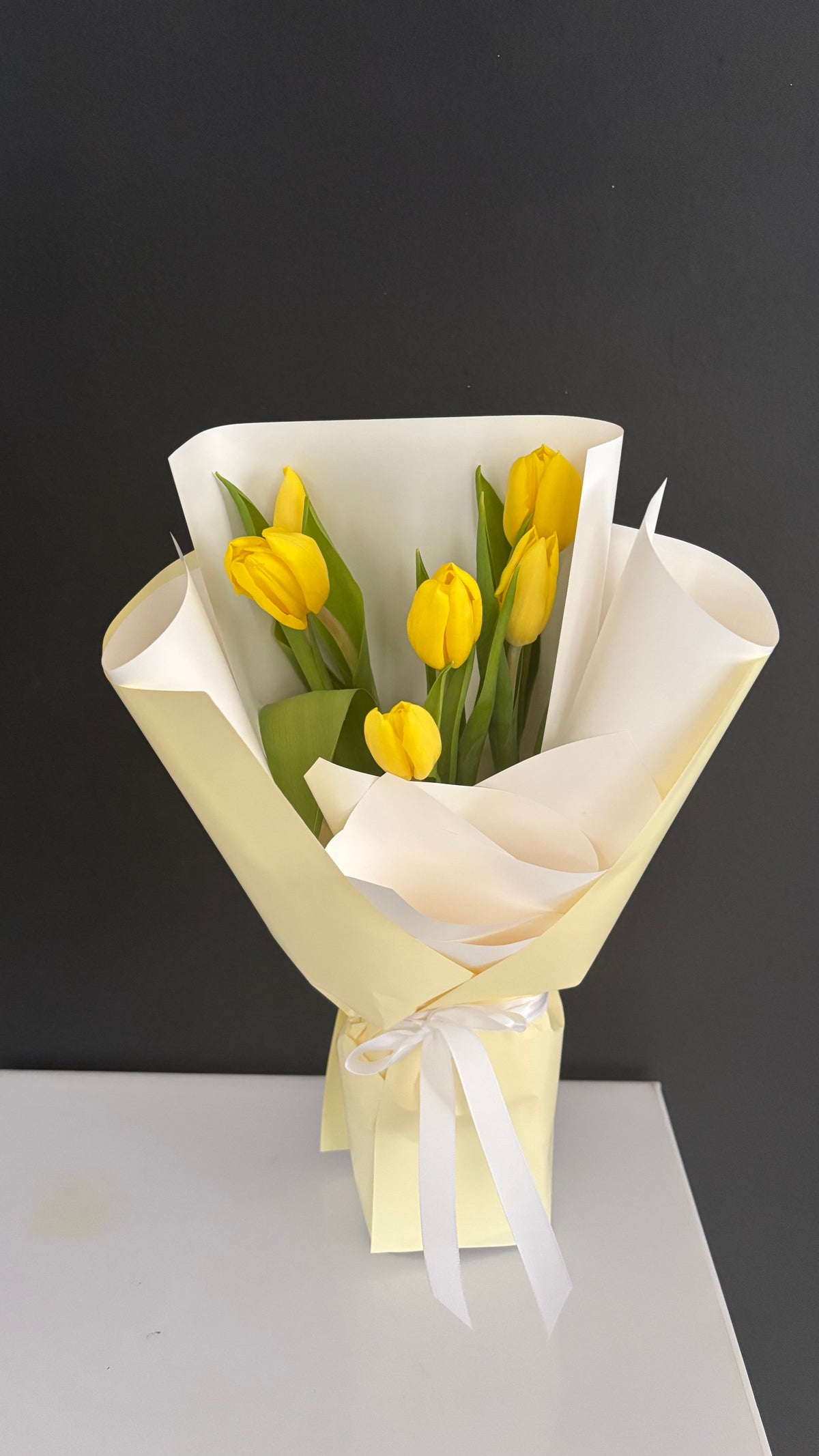 Tulip primavera